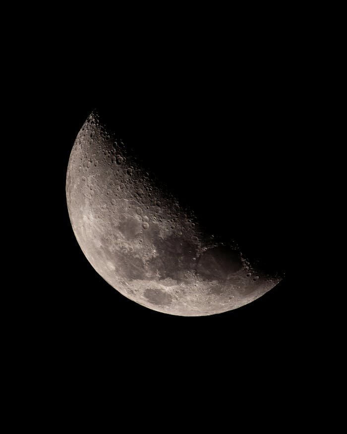 Crisp image of a half moon showcasing craters and texture against a dark night background.